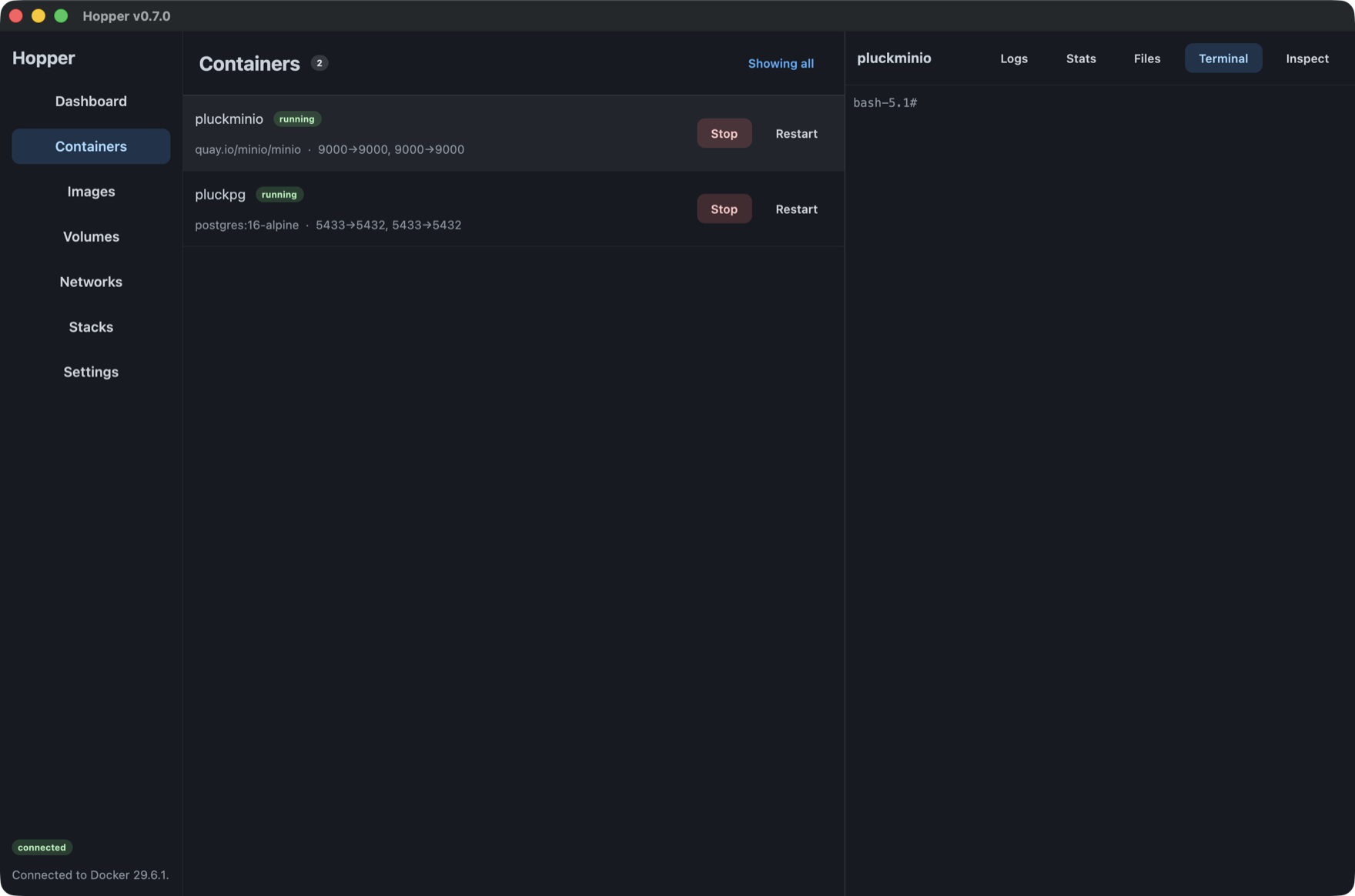 The Terminal tab with a live bash prompt inside a running container.